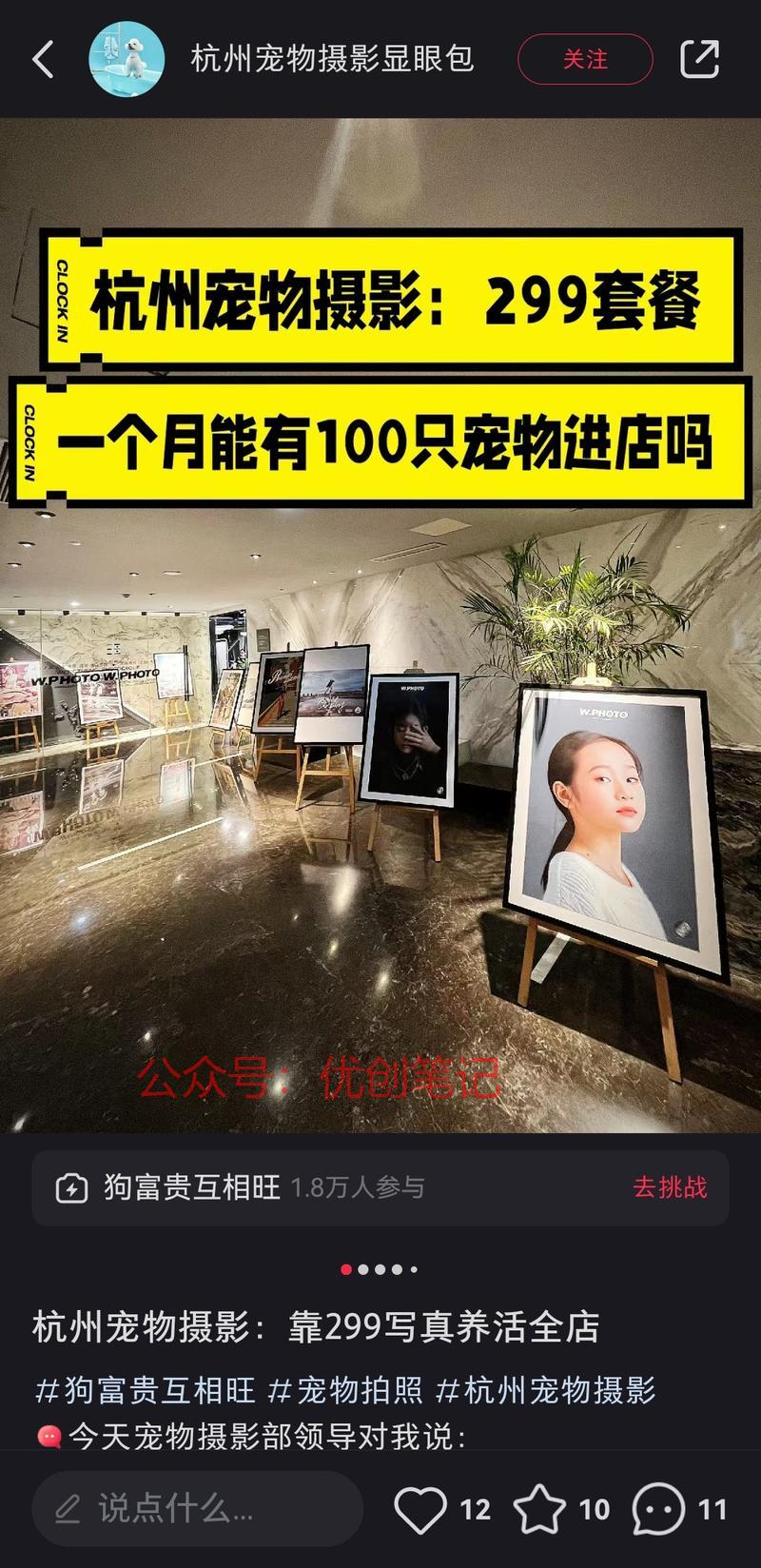 线下摄影的细分：给宠物…#情报-搞钱线报📢论坛-网创交流-优创圈